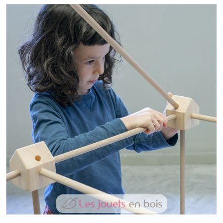 Trigonos Kernel Bio Arbaro TG-KERNEL-ARBARO Trigonos 4