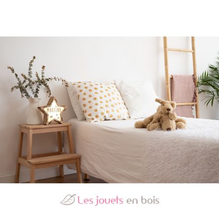 Etoile lumineuse à personnaliser VI-ES14USBC Vintiun 3