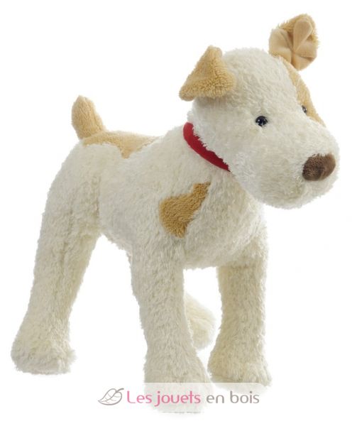 Buki France-Accessoires petits chiens