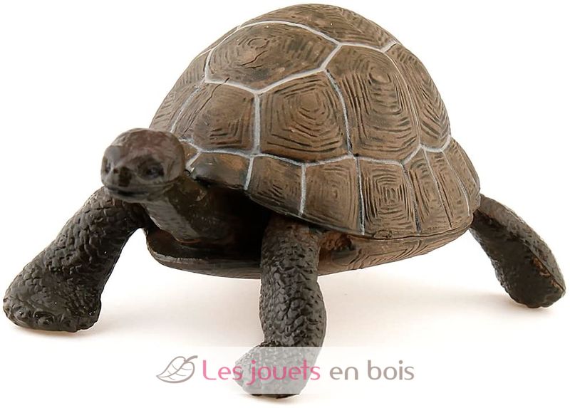 Figurine Tortue - Figurines Papo. De 2 à 8 ans