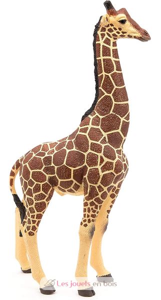 Figurine Girafe mâle - Figurines Papo. De 2 à 8 ans
