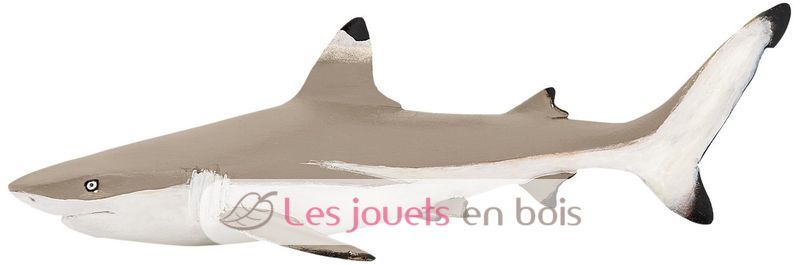 nageoire de requin 7 lettres
